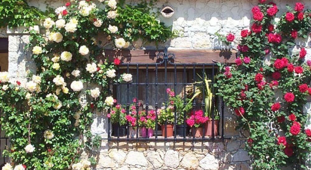 فندق Castel Garoupe أنتيب المظهر الخارجي الصورة